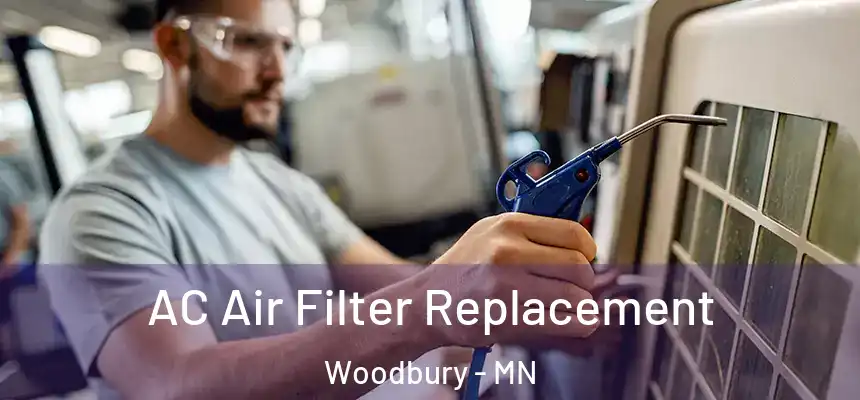  AC Air Filter Replacement Woodbury - MN
