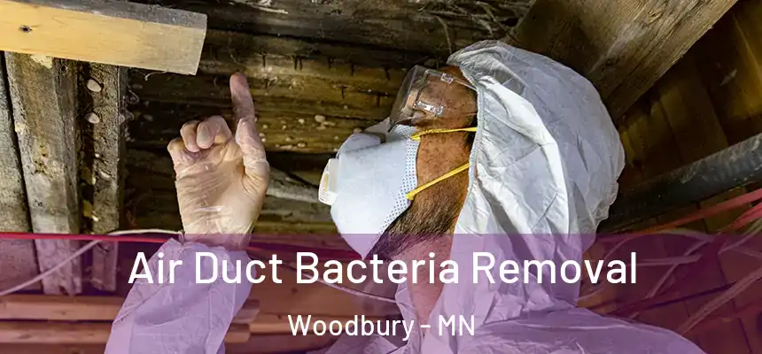  Air Duct Bacteria Removal Woodbury - MN