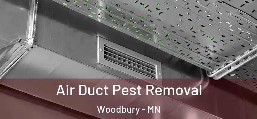  Air Duct Pest Removal Woodbury - MN
