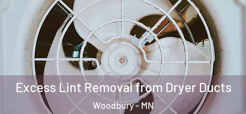 Excess Lint Removal from Dryer Ducts Woodbury - MN