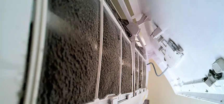 Preventive Air Duct Bacteria Removal in Woodbury