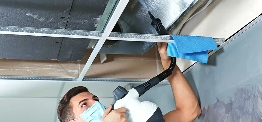 Our Air Duct Rodent Removal Services in Woodbury, MN