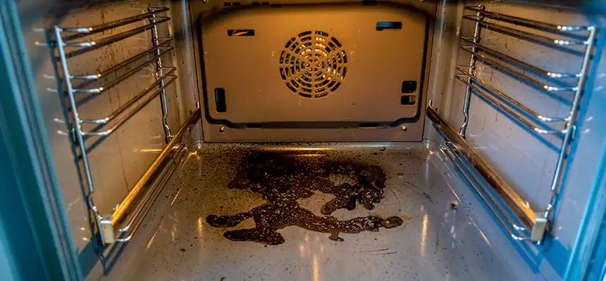 Our Dryer Vent Mold Cleaning Services in Woodbury, MN