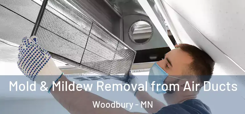  Mold & Mildew Removal from Air Ducts Woodbury - MN