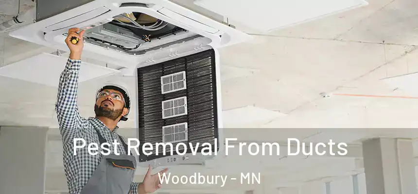  Pest Removal From Ducts Woodbury - MN