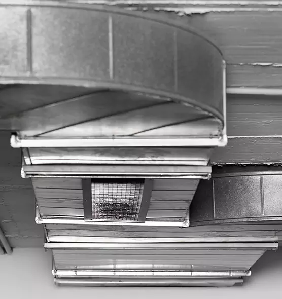 Professional Air Duct Pet Hair Removal in Woodbury, MN