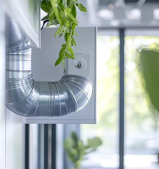 Professional Eco-Safe Dryer Vent Cleaning in Woodbury, MN