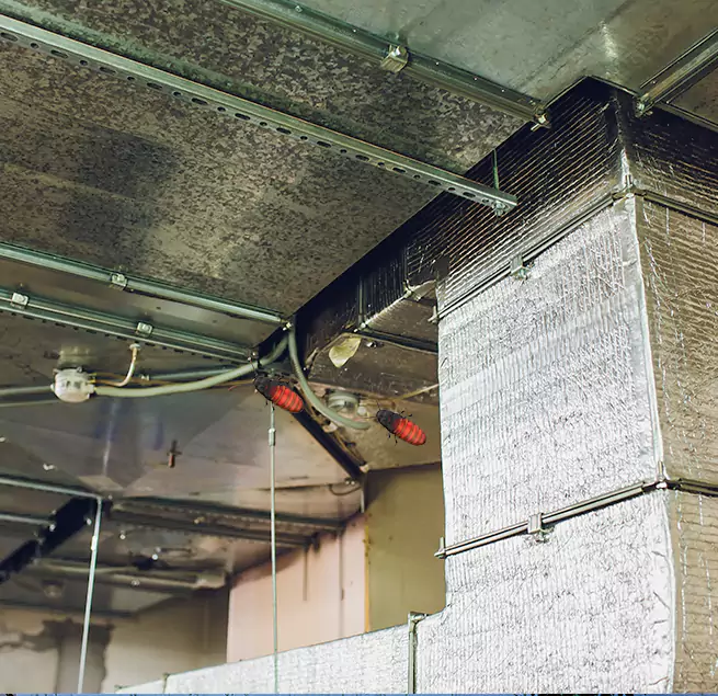 Why Homeowners & Businesses Trust Us in Woodbury, MN?