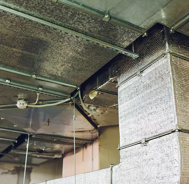 Why Homeowners & Businesses Trust Us in Woodbury, MN?