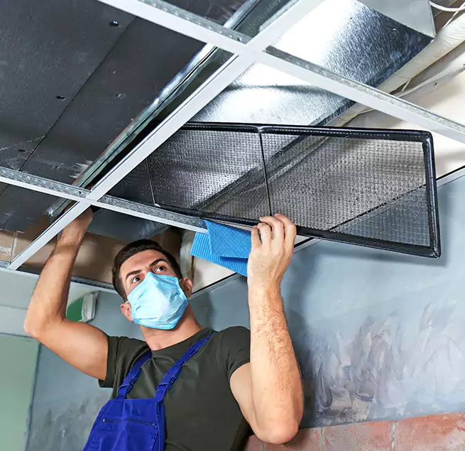 Why Homeowners & Businesses Trust Us in Woodbury, MN?